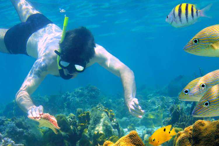 Zihuatanejo Snorkeling & Kayaking | Gatas Beach | Pacific Tours Ixtapa. Enjoy a day on the beach snorkeling, kayaking and swimming at Las Gatas Beach the best beach in Ixtapa Zihuatanejo Mexico to swim and snorkel on its calm and crystailne waters. Tours in Ixtapa Zihuatanejo Mexico